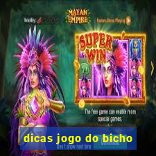 dicas jogo do bicho